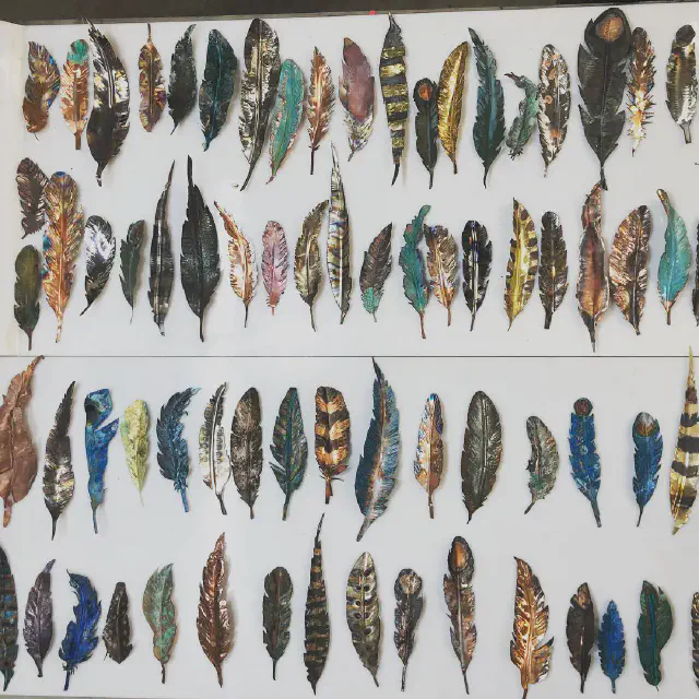 Feathers-1.jpg