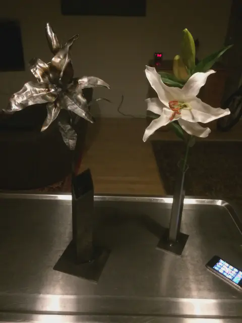 Lilies-1.jpg