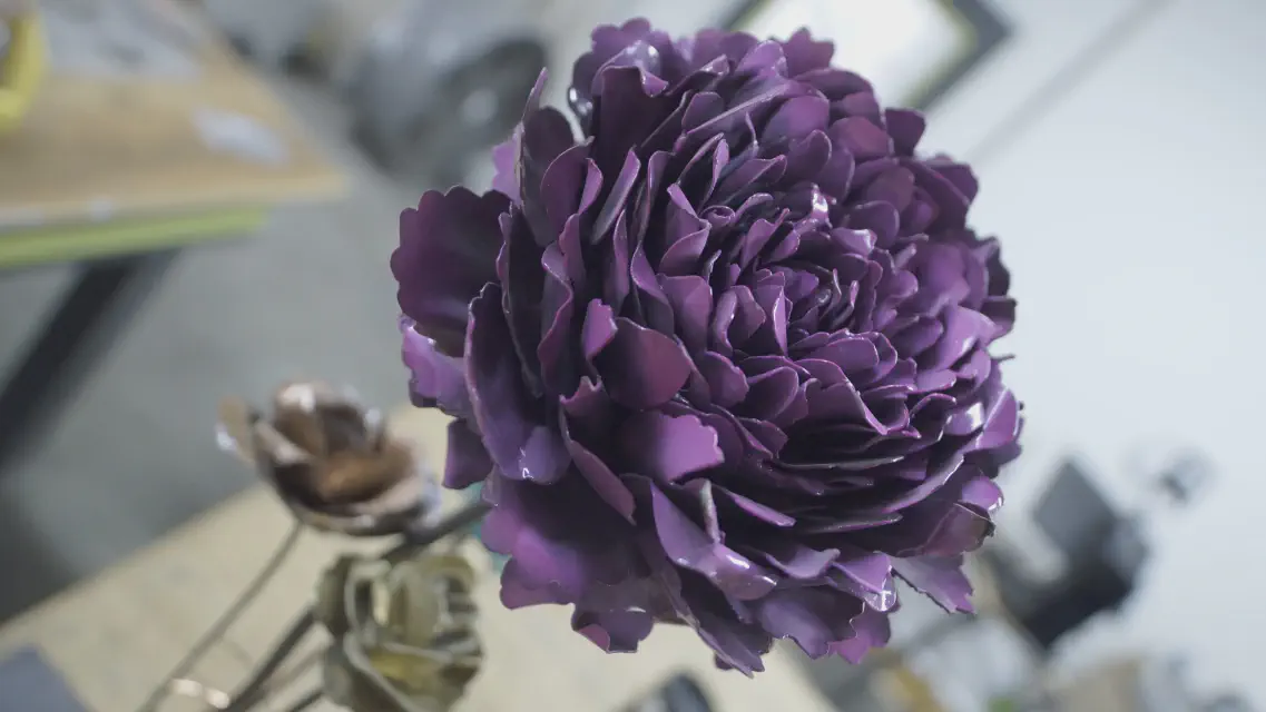 Peony-1.JPG
